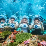 Esplorazione dei fondali marini: tour di snorkeling a Nha Trang