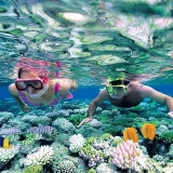 Esplorazione dei fondali marini: tour di snorkeling a Nha Trang