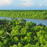 Escursione Can Gio: Riserva Mondiale della Biosfera in 1 giorno
