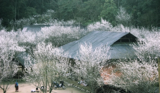 Tour a Sapa di 6 giorni: Natura del Vietnam nord-occidentale