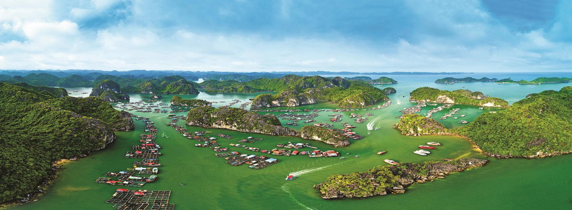 Viet Hai