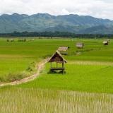 Vacanze di 4 giorni a Nong Khiaw in cerca di novità