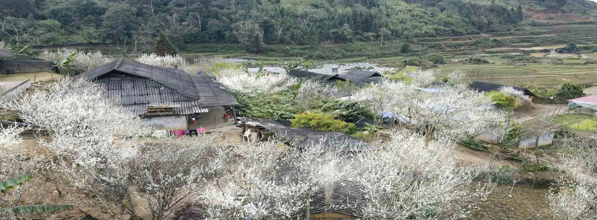 Bac Ha