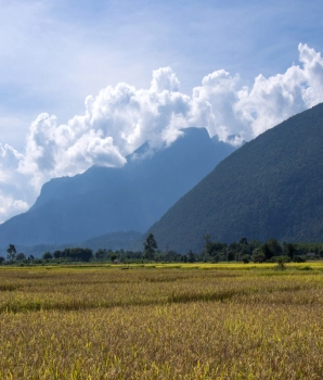 Viaggio culturale e naturale nel nord della Thailandia: Avventura Palong - Chiang Dao