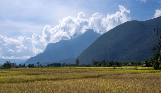 Viaggio culturale e naturale nel nord della Thailandia: Avventura Palong - Chiang Dao