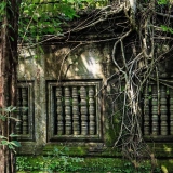 Il sentiero antico: Un'avventura attraverso Beng Mealea, Koh Ker e Preah Vihear
