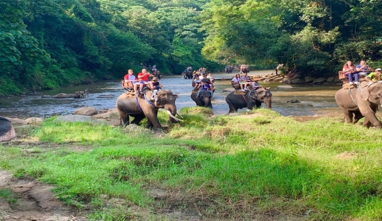 Avventura emozionante: 3 giorni di trekking Mae Taeng - Thailandia