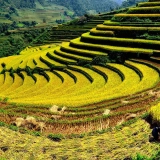 Tour del Vietnam 7 giorni - Esplorate il Vietnam del Nord