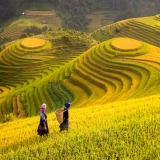 Tour del Vietnam 7 giorni - Esplorate il Vietnam del Nord
