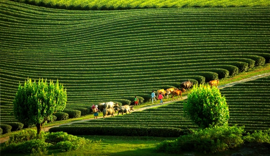 Tour del Vietnam del Nord di 14 giorni