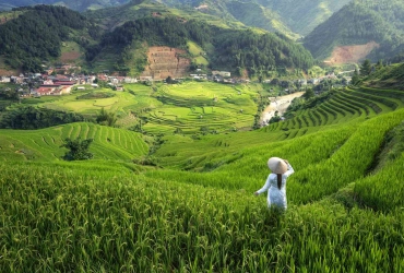 Sapa - Hanoi (B)
