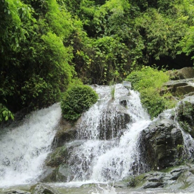 Ao Gioi - Suoi Tien