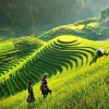 L'esperienza del trekking a Sapa