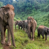 Tour in Thailandia 11 giorni - Esplora Città, Giungla e Mare
