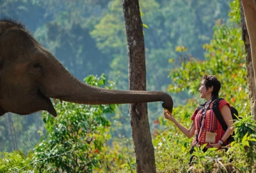 Surat Thani - Khao Sok - Elephant (B, L) Join con guida parlante inglese