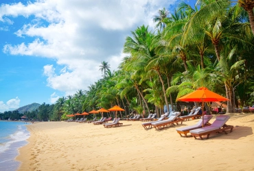 Phuket - Join Phi Phi + Isola di Bambù (B, L) Join Speedboat con guida parlante inglese