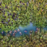 Tour in Vietnam centrale 6 giorni: Esplorare Da Nang, Hoi An