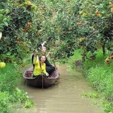 Escursione di Delta del Mekong - Esperienza di cultura