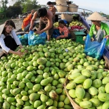 Viaggio breve a Delta del Mekong: Avventura ecologica