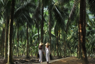 Città di Ho Chi Minh – Ben Tre – Can Tho