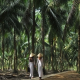 I colori del Delta del Mekong