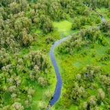Viaggio nella regione fluviale: Tour del Delta del Mekong