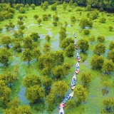 Viaggio nella regione fluviale: Tour del Delta del Mekong