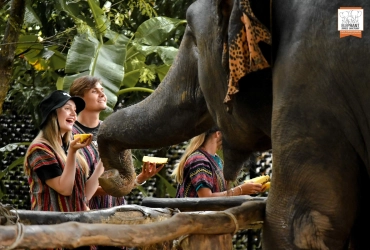 Chiang Mai - Elephant Nature Park (B, L) Join con guida parlante inglese