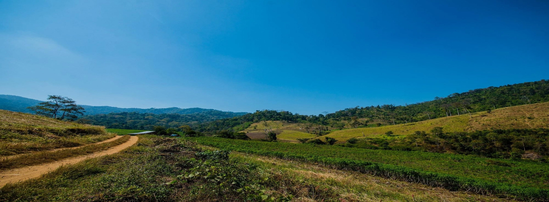 Pailin