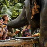 Cambogia e Thailandia 11 giorni: Esplora la cultura e la storia