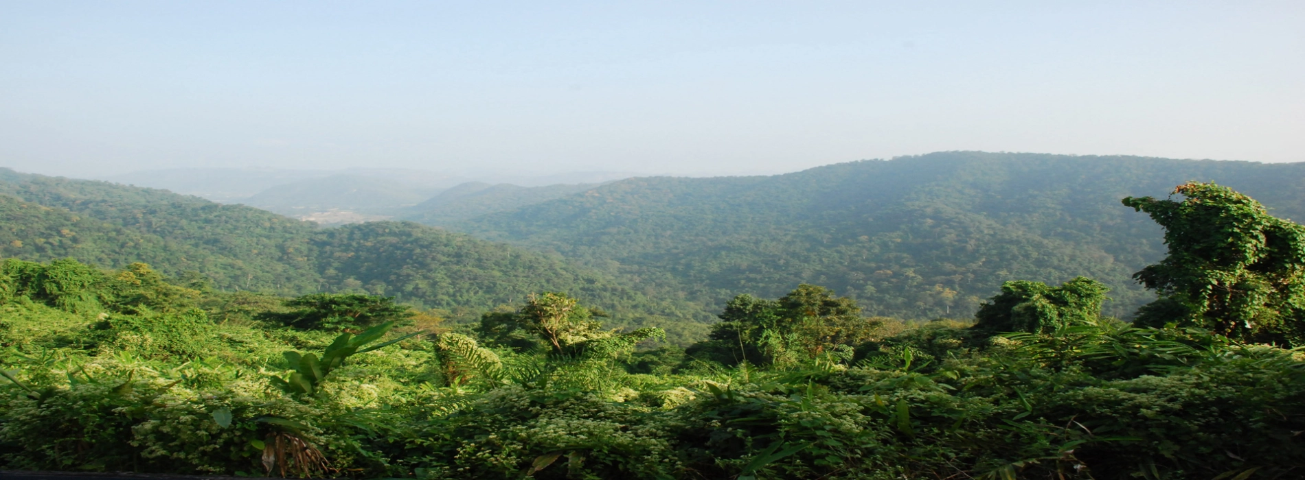 Khao Yai