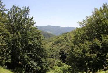 Parco nazionale di Kep