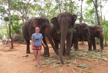 Chiang Mai - Santuario della giungla degli elefanti (B, L) Join tour con guida parlante inglese