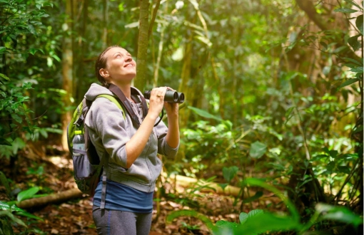 Esplora le ecoturismo in Cambogia