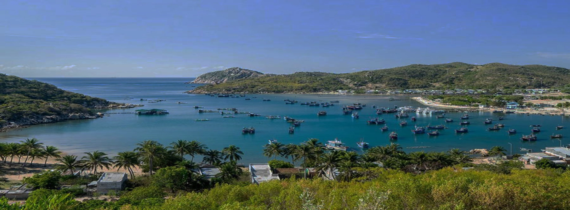 Ninh Chu
