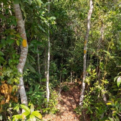Parco nazionale di Kep