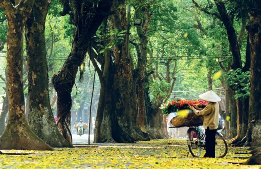 Dove andare in Vietnam in autunno