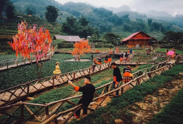 Hanoi - Sapa