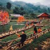 Scoprite i segreti di Sapa - Tour in Vietnam 3 giorni