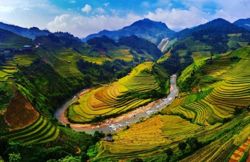Trekking nella valle di Muong Hoa e gruppi etnici locali: la bellezza di SaPa