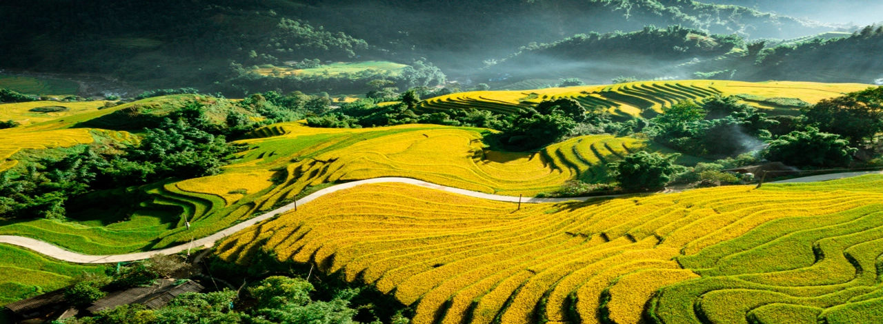 Escursioni Vietnam