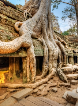 Viaggio in Cambogia 9 giorni - Scoperta della natura