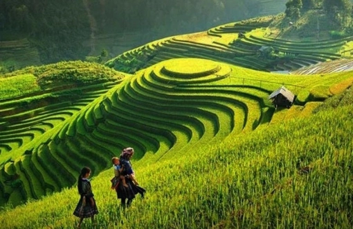 Dovresti andare ad Ha Giang o SaPa: Qual è la scelta migliore per i turisti?