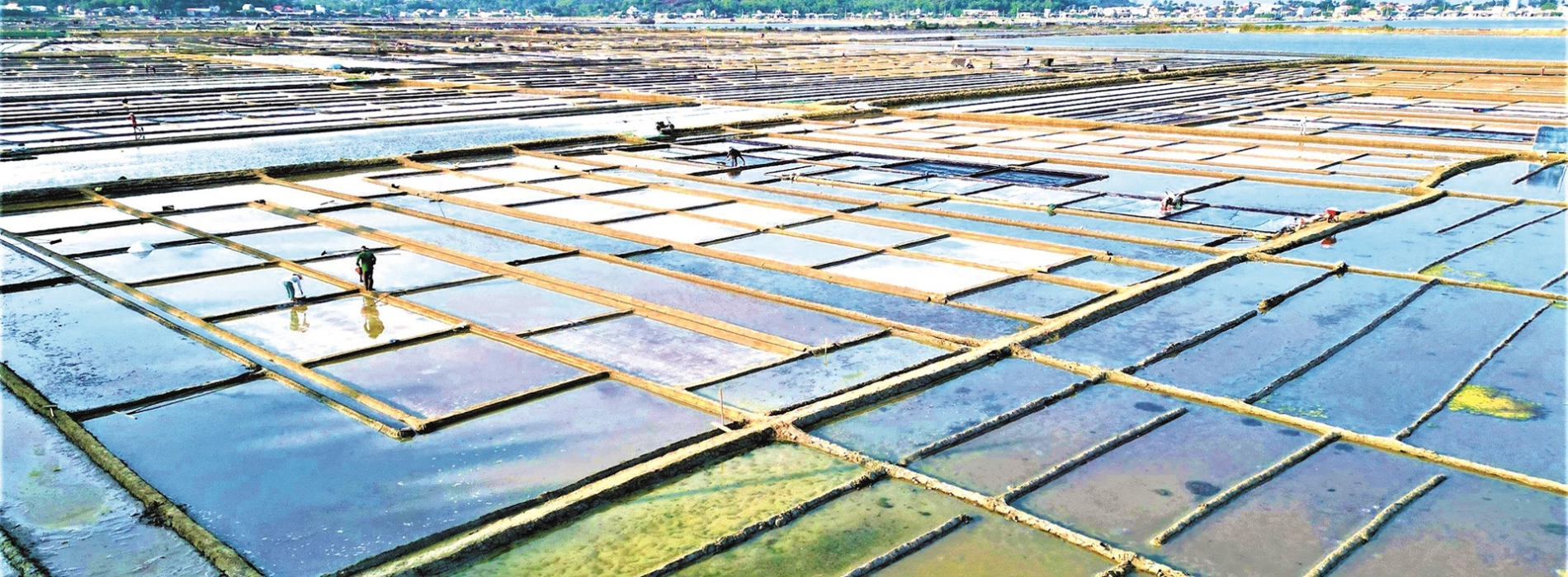 Campo di sale di Sa Huynh