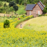 Viaggio in Vietnam 15 giorni - viaggiare in moto