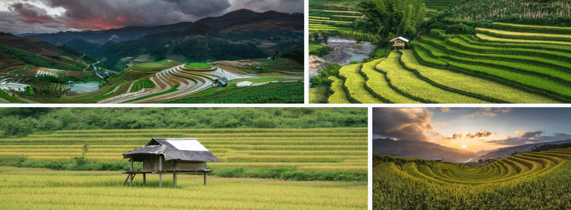 Splendide risaie in Vietnam: 12 posti incredibile