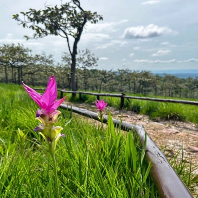 Parco nazionale di Sai Thong