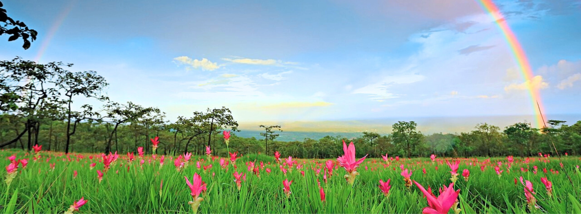 Parco nazionale di Sai Thong