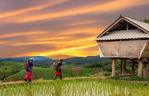 Chiang Mai in Modo Economico: Esplorazioni a Prezzi Accessibili