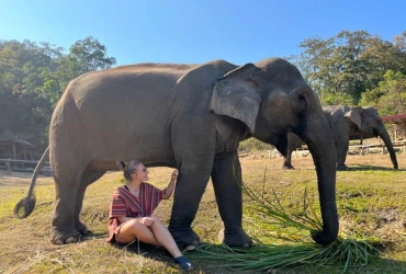 Mondulkiri - Avventura di elefanti (B/ L)